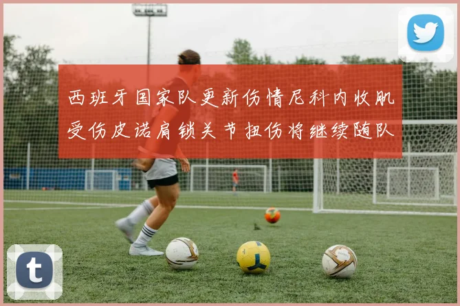 西班牙国家队更新伤情尼科内收肌受伤皮诺肩锁关节扭伤将继续随队训练
